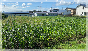 株式会社Aomori-Mirai-Agriculture3